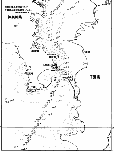 東京湾口海況図(2023/05/04)