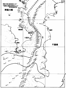 東京湾口海況図(2023/05/11)