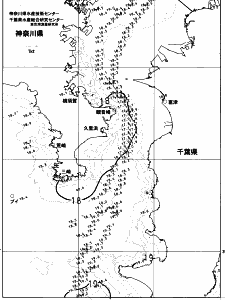 東京湾口海況図(2023/05/12)