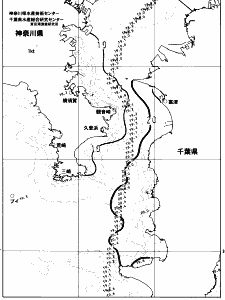 東京湾口海況図(2023/05/19)