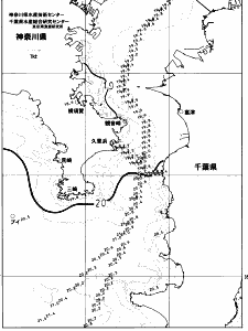 東京湾口海況図(2023/06/03)