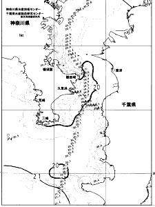 東京湾口海況図(2023/06/04)