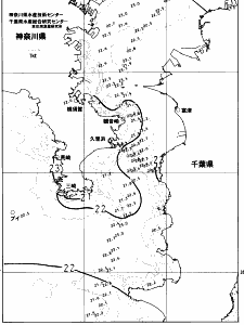 東京湾口海況図(2023/06/18)