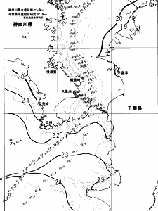 東京湾口海況図(2023/10/30)