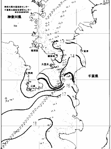 東京湾口海況図(2024/03/29)