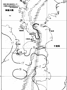 東京湾口海況図(2024/04/11)