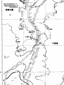 東京湾口海況図(2024/05/13)