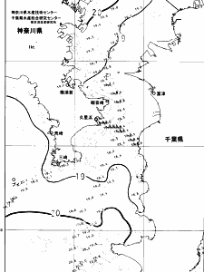 東京湾口海況図(2024/05/16)