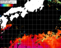 NOAA人工衛星画像:黒潮域, 1日合成画像(2024/04/21UTC)