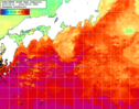 NOAA人工衛星画像:黒潮域, 1週間合成画像(2024/04/19～2024/04/25UTC)
