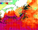 NOAA人工衛星画像:黒潮域, 1週間合成画像(2024/04/20～2024/04/26UTC)