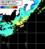 NOAA人工衛星画像:神奈川県近海, パス=20240502 11:43 UTC