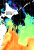 NOAA人工衛星画像:親潮域, 1日合成画像(2024/05/05UTC)