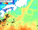 NOAA人工衛星画像:黒潮域, 1週間合成画像(2024/04/30～2024/05/06UTC)