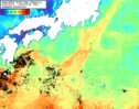 NOAA人工衛星画像:黒潮域, 1週間合成画像(2024/05/02～2024/05/08UTC)
