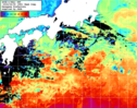 NOAA人工衛星画像:黒潮域, 1週間合成画像(2024/04/02～2024/04/08UTC)
