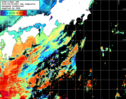 NOAA人工衛星画像:黒潮域, 1日合成画像(2024/04/09UTC)