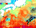 NOAA人工衛星画像:黒潮域, 1週間合成画像(2024/04/04～2024/04/10UTC)