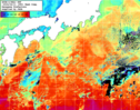 NOAA人工衛星画像:黒潮域, 1週間合成画像(2024/04/05～2024/04/11UTC)