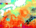 NOAA人工衛星画像:黒潮域, 1週間合成画像(2024/04/06～2024/04/12UTC)