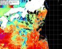 NOAA人工衛星画像:黒潮域, 1日合成画像(2024/04/16UTC)