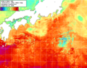NOAA人工衛星画像:黒潮域, 1週間合成画像(2024/04/11～2024/04/17UTC)