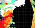 NOAA人工衛星画像:黒潮域, 1日合成画像(2024/04/19UTC)