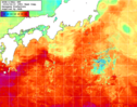 NOAA人工衛星画像:黒潮域, 1週間合成画像(2024/04/13～2024/04/19UTC)