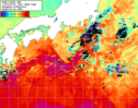 NOAA人工衛星画像:黒潮域, 1週間合成画像(2024/04/19～2024/04/25UTC)