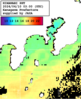 ひまわり人工衛星:沿岸～伊豆諸島,12:59JST,1時間合成画像