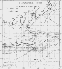 一都三県漁海況速報、関東・東海海況速報(1999/04/26)