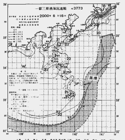 一都三県漁海況速報、関東・東海海況速報(2000/06/16)