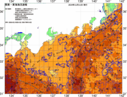 関東・東海海況速報/広域(2024/11/11)