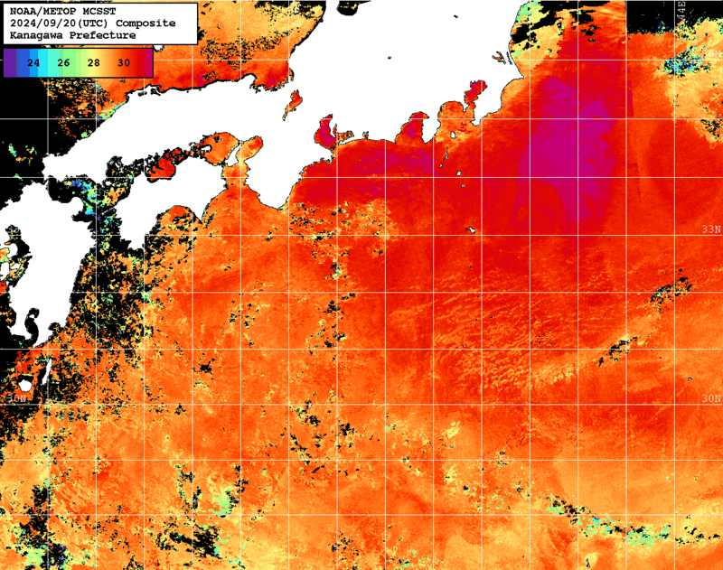 NOAA、MetOp 人工衛星画像 検索結果, 水温分布を図示