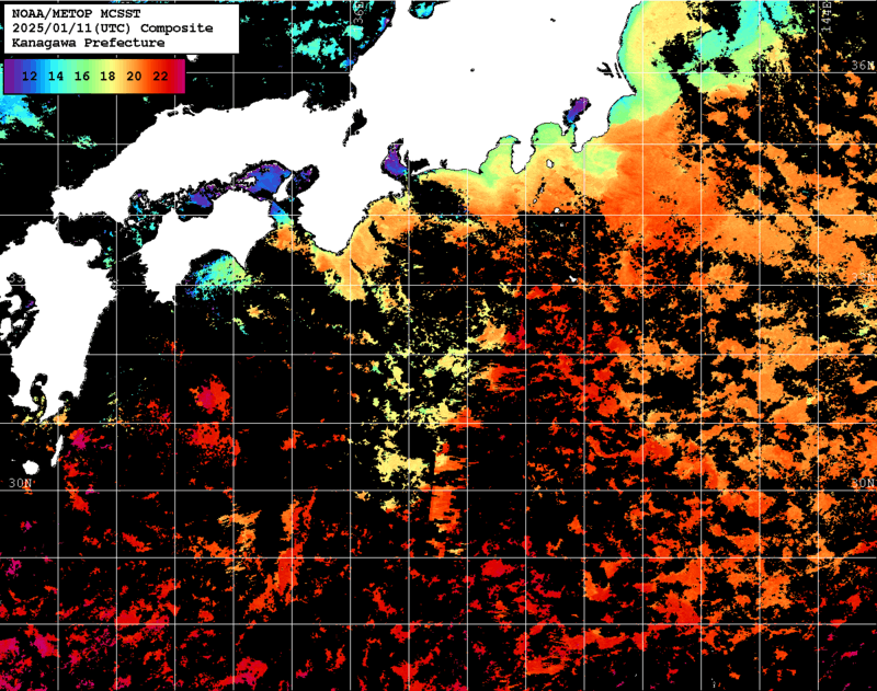 NOAA、MetOp 人工衛星画像 検索結果, 水温分布を図示