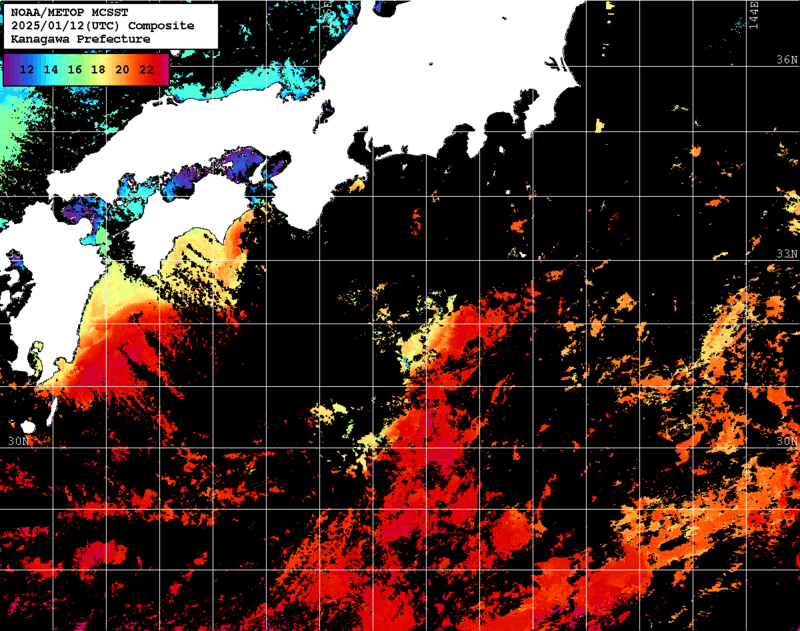 NOAA、MetOp 人工衛星画像 検索結果, 水温分布を図示