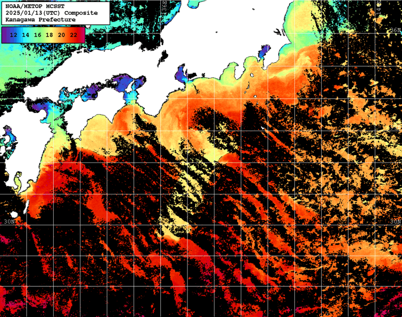 NOAA、MetOp 人工衛星画像 検索結果, 水温分布を図示