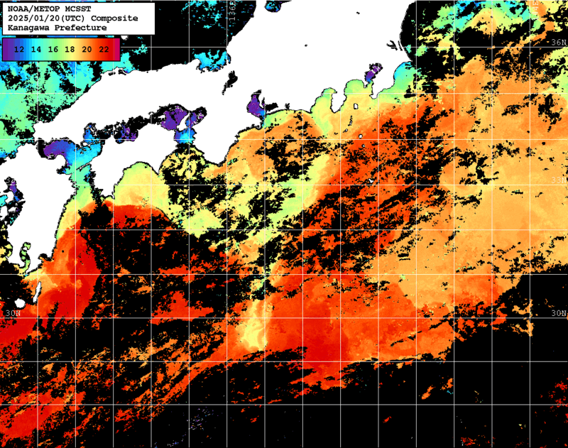 NOAA、MetOp 人工衛星画像 検索結果, 水温分布を図示