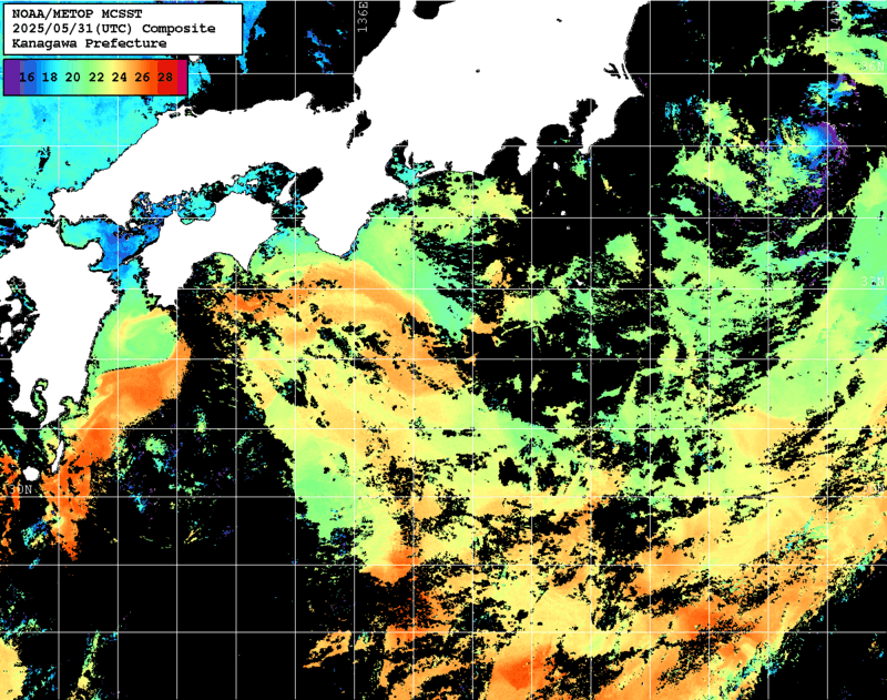 NOAA、MetOp 人工衛星画像 検索結果, 水温分布を図示