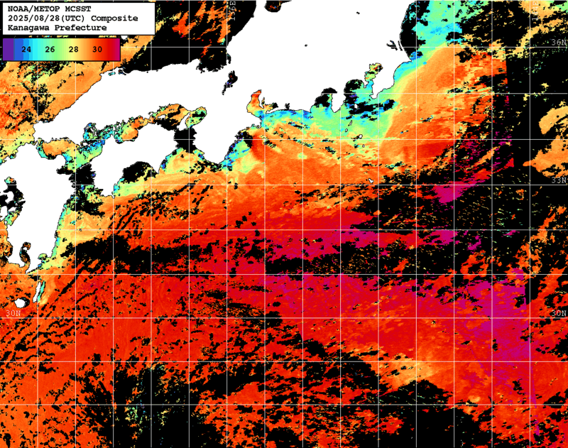 NOAA、MetOp 人工衛星画像 検索結果, 水温分布を図示