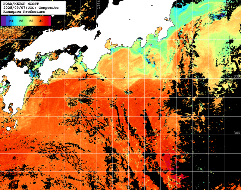 NOAA、MetOp 人工衛星画像 検索結果, 水温分布を図示