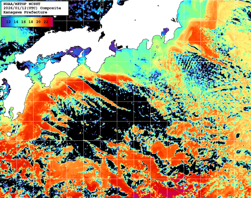 NOAA、MetOp 人工衛星画像 検索結果, 水温分布を図示