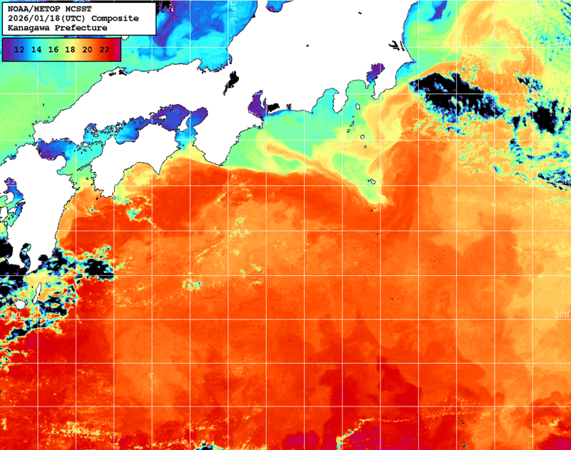 NOAA、MetOp 人工衛星画像 検索結果, 水温分布を図示
