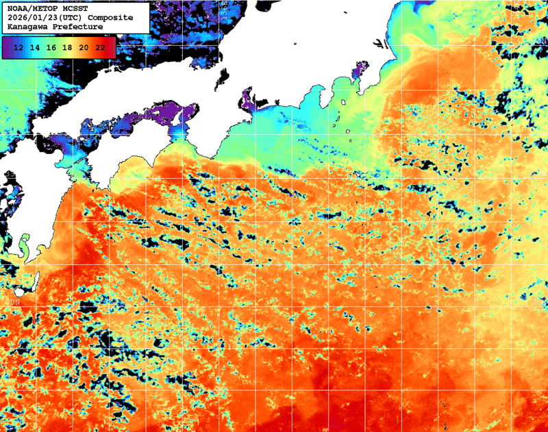 NOAA、MetOp 人工衛星画像 検索結果, 水温分布を図示