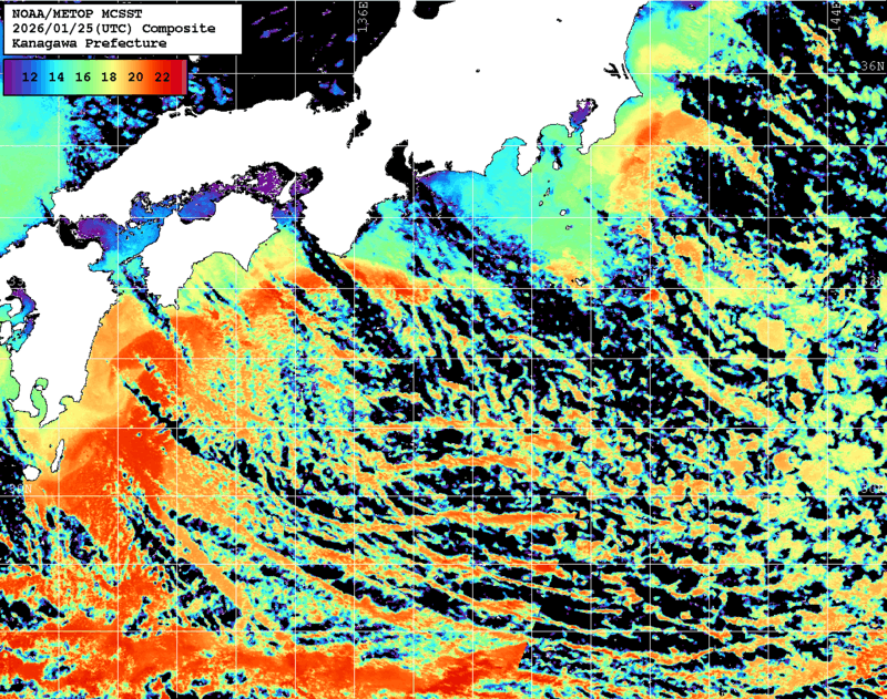 NOAA、MetOp 人工衛星画像 検索結果, 水温分布を図示