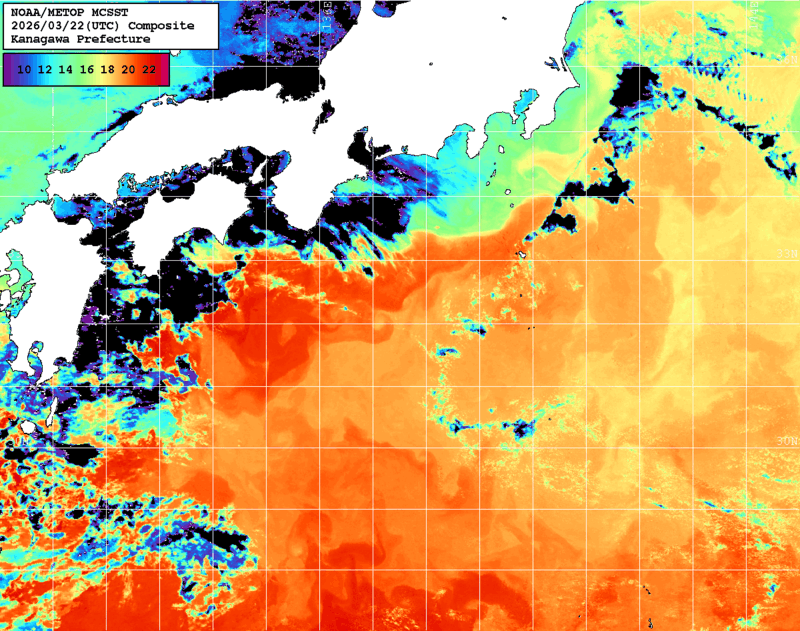 NOAA、MetOp 人工衛星画像 検索結果, 水温分布を図示
