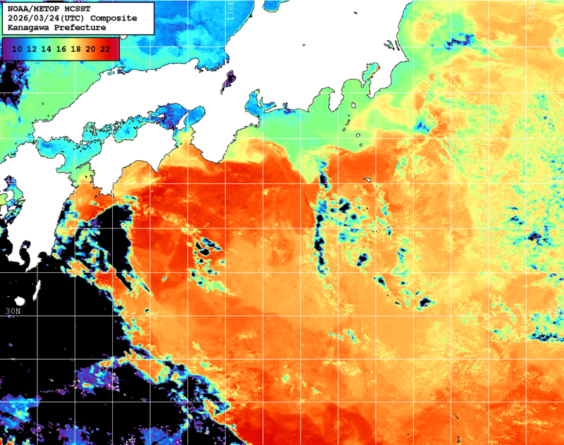 NOAA、MetOp 人工衛星画像 検索結果, 水温分布を図示