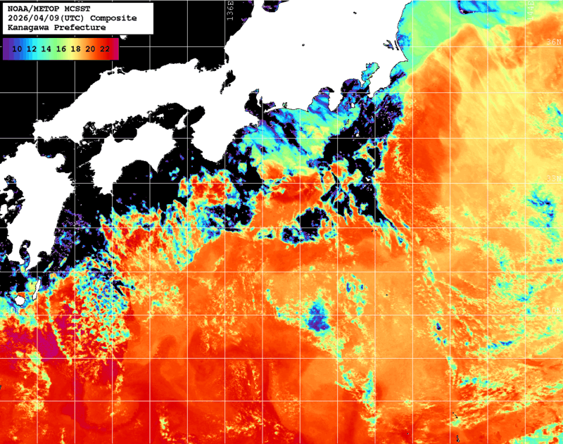 NOAA、MetOp 人工衛星画像 検索結果, 水温分布を図示