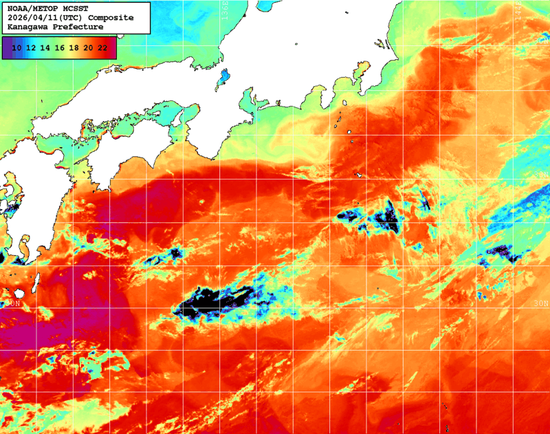 NOAA、MetOp 人工衛星画像 検索結果, 水温分布を図示