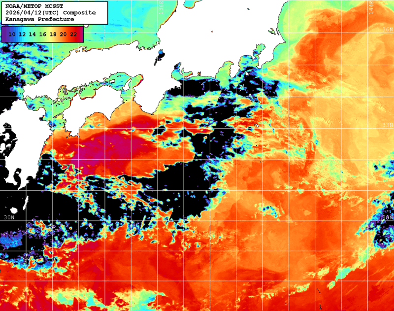 NOAA、MetOp 人工衛星画像 検索結果, 水温分布を図示